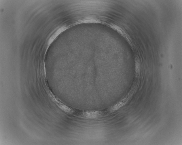 X0000076101274200610152334