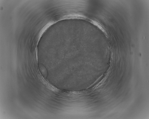 X0000076101275200610152334