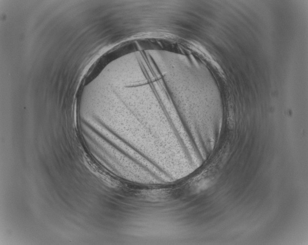 X0000076101276200610152334