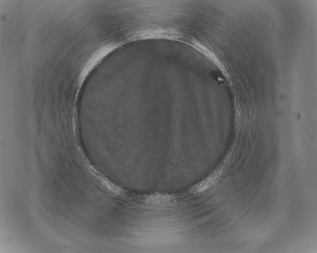 X0000076101277200610152334