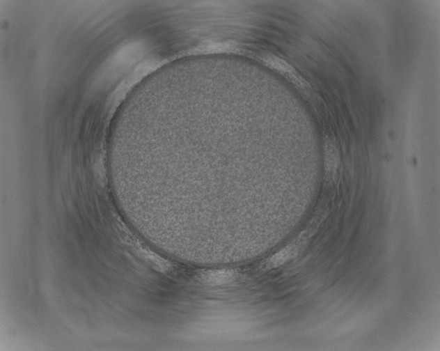 X0000076101278200610152334