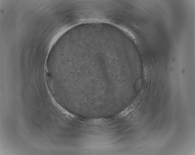 X0000076101279200610152334