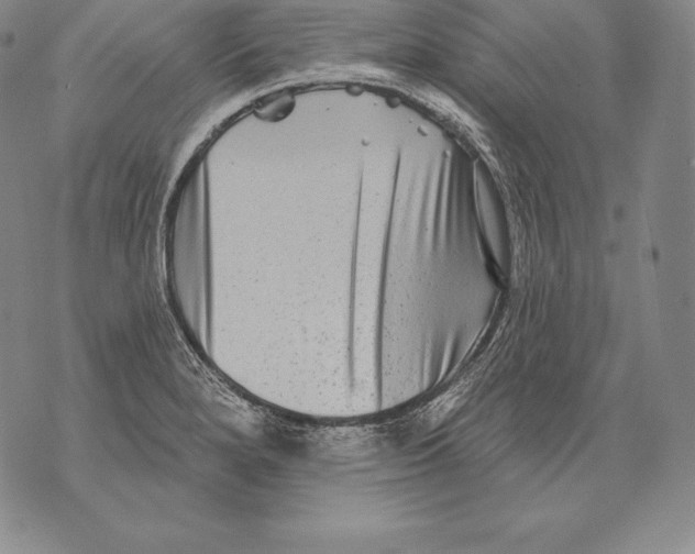 X0000076101280200610152334