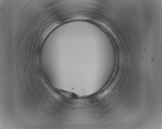 X0000076101281200610152334