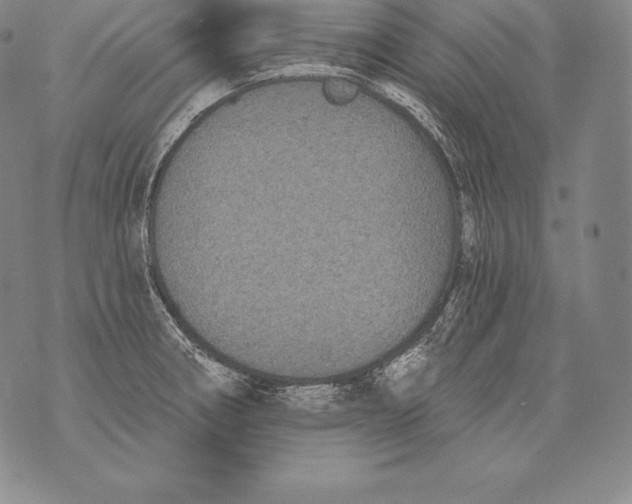 X0000076101282200610152334