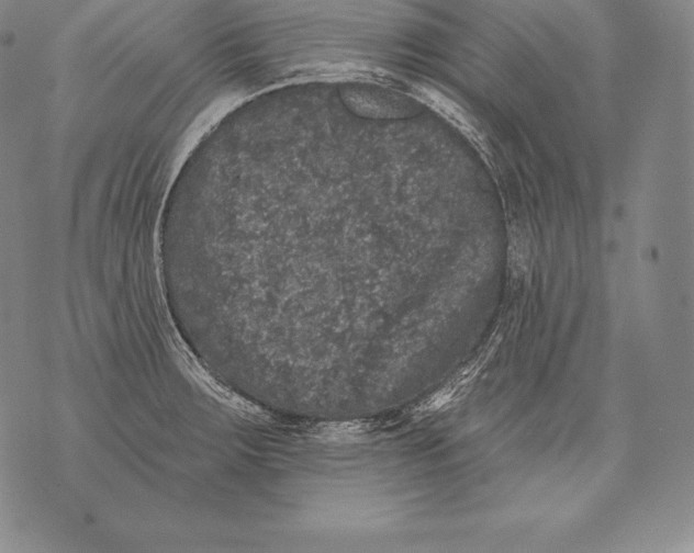 X0000076101283200610152334