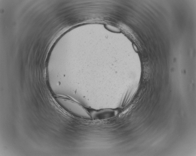 X0000076101284200610152334