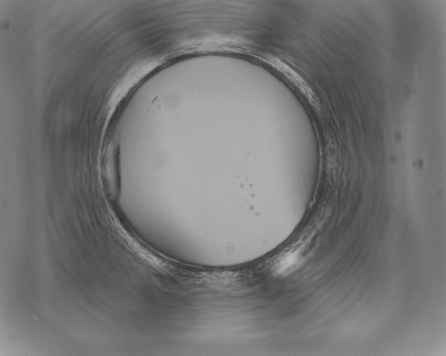 X0000076101285200610152334