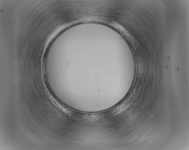 X0000076101286200610152334