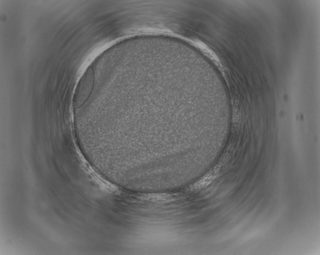 X0000076101287200610152334