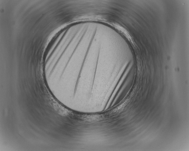 X0000076101288200610152334