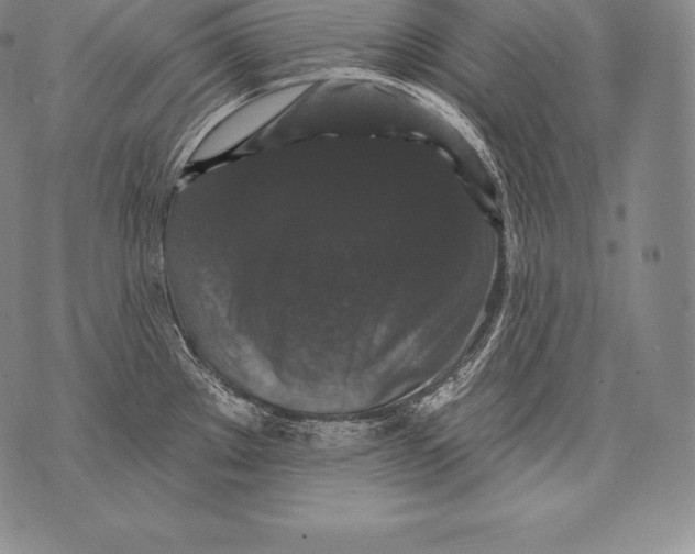 X0000076101289200610152334