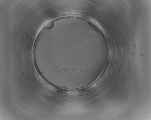 X0000076101291200610152334