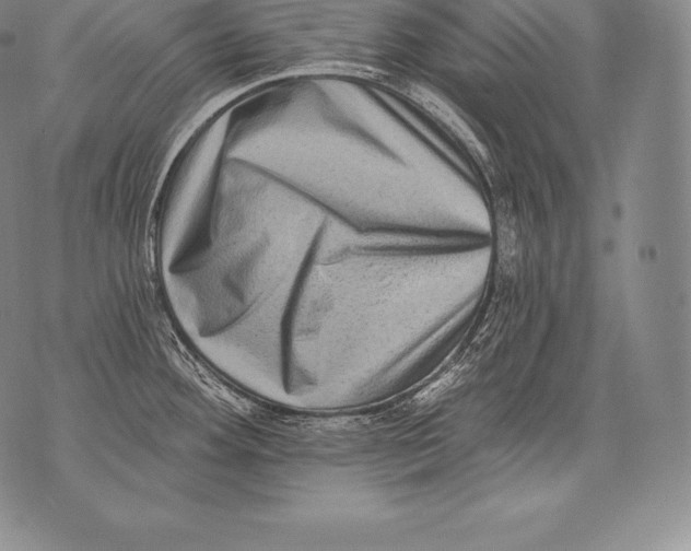 X0000076101292200610152334