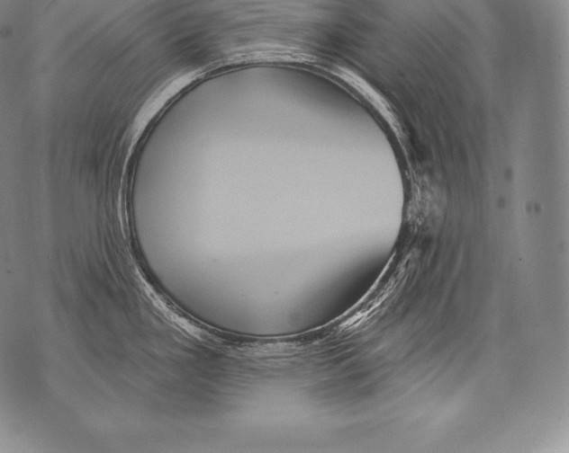 X0000076101293200610152334