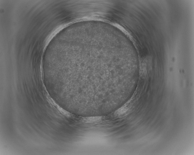 X0000076101294200610152334