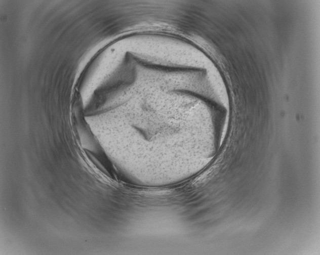 X0000076101296200610152334