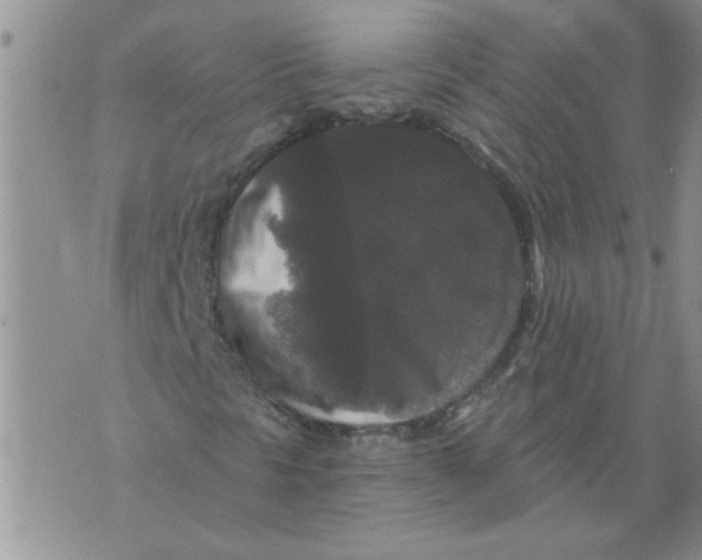 X0000076101297200610152333