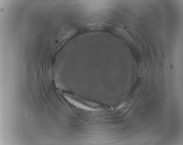 X0000076101298200610152333