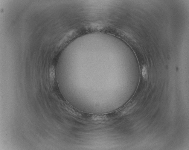 X0000076101299200610152333