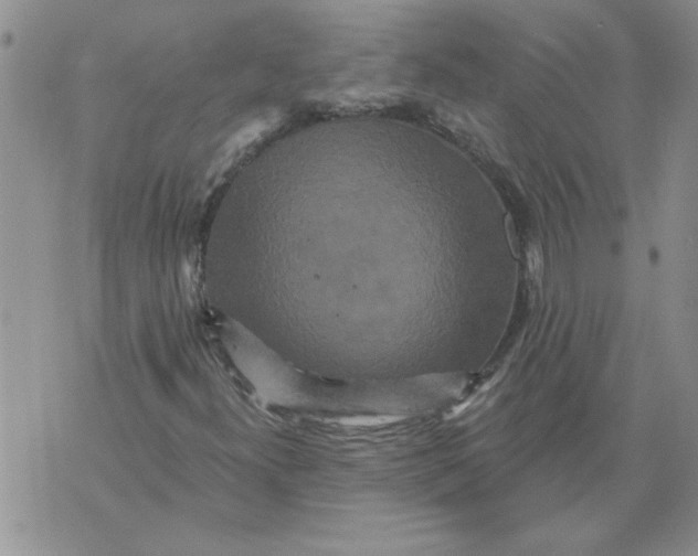 X0000076101300200610152333