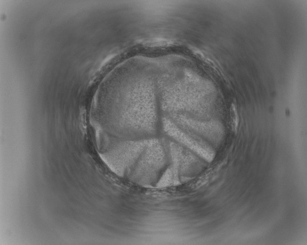 X0000076101301200610152333