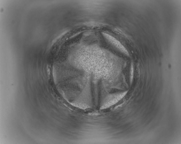 X0000076101302200610152333