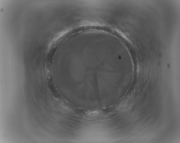 X0000076101303200610152333