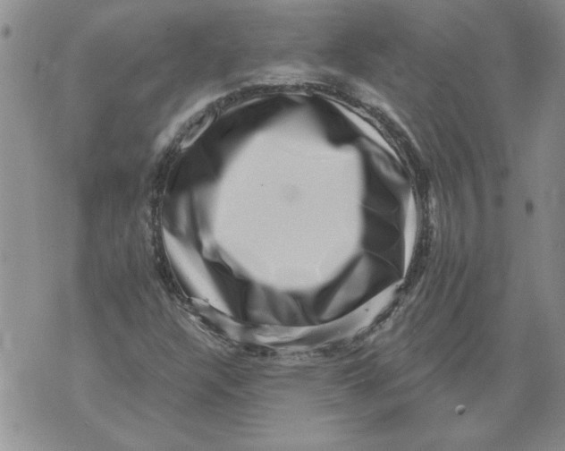 X0000076101304200610152333