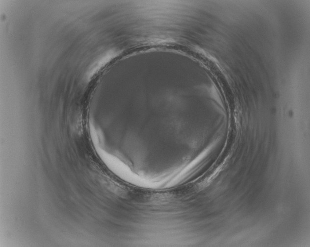 X0000076101306200610152333