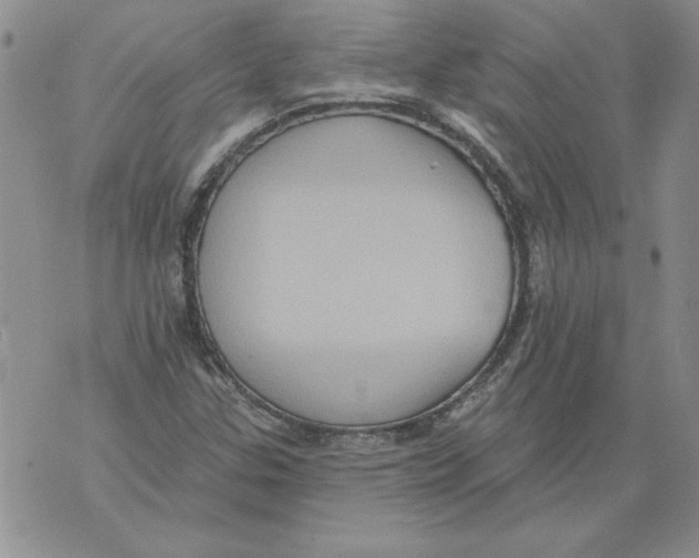 X0000076101307200610152333