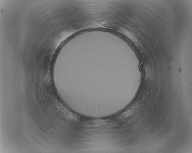 X0000076101308200610152333