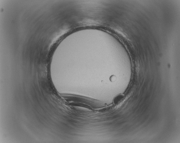 X0000076101309200610152333