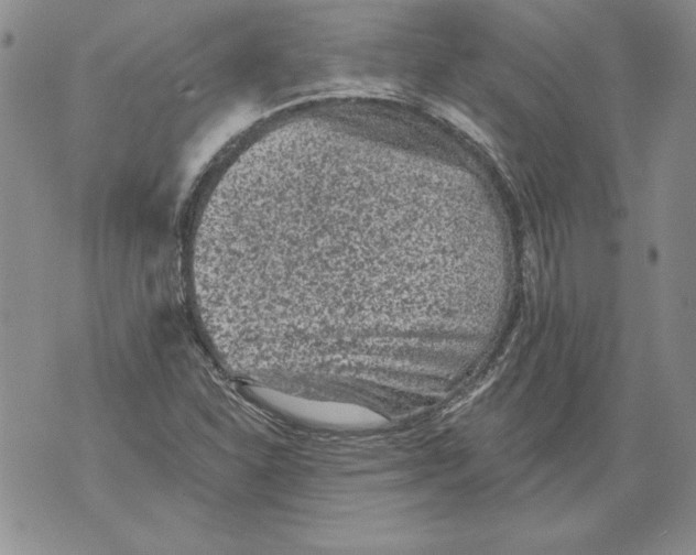 X0000076101310200610152333