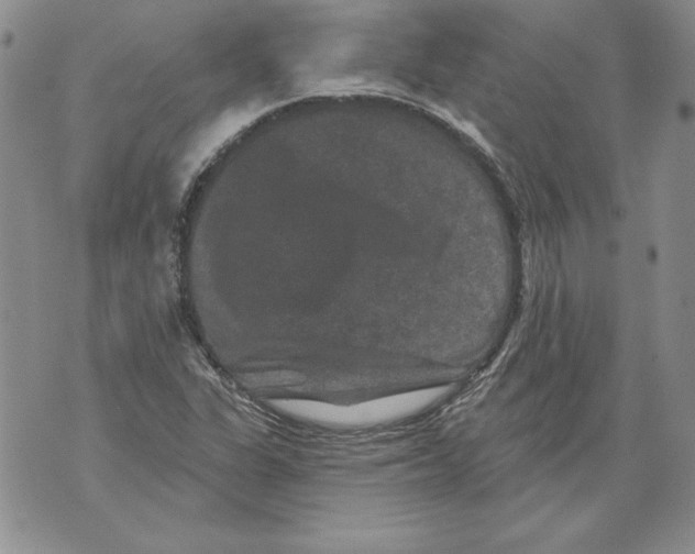 X0000076101311200610152333