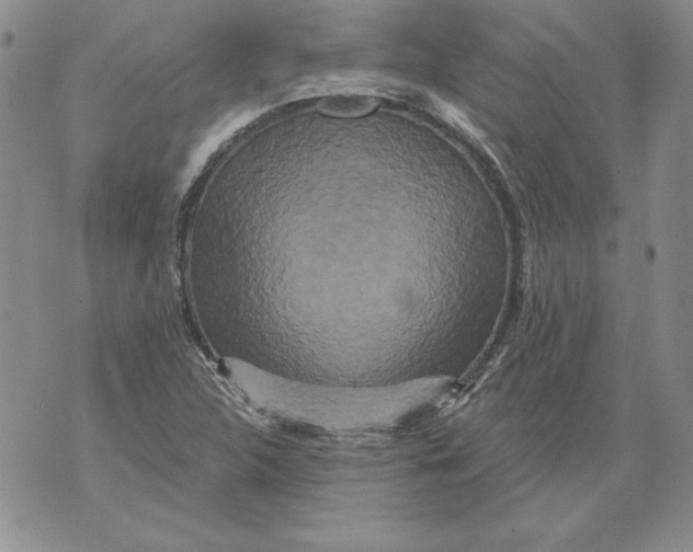 X0000076101312200610152333