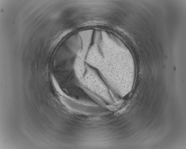 X0000076101313200610152333