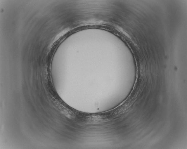 X0000076101315200610152333