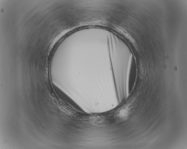 X0000076101316200610152333