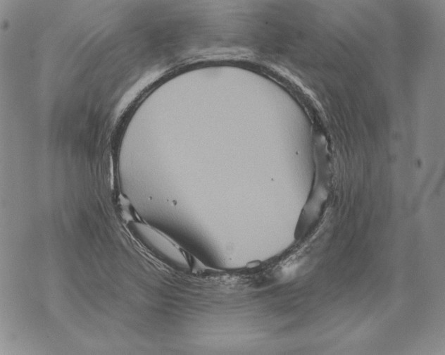 X0000076101317200610152333