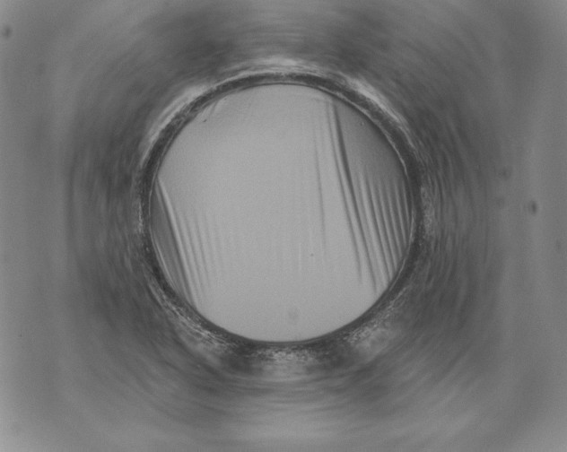 X0000076101318200610152333