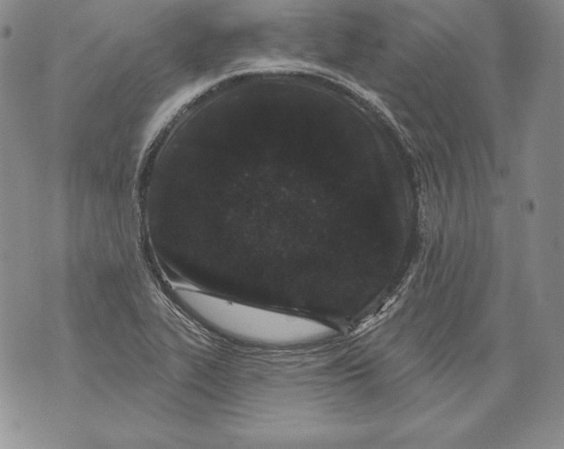 X0000076101319200610152333