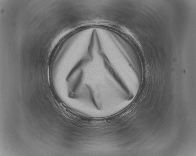 X0000076101320200610152333