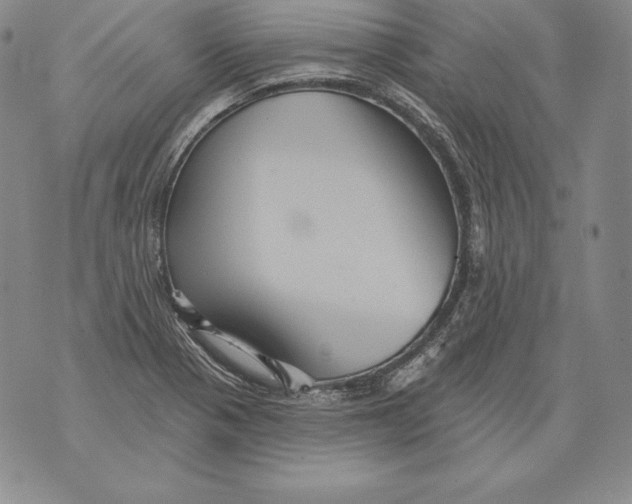 X0000076101321200610152333