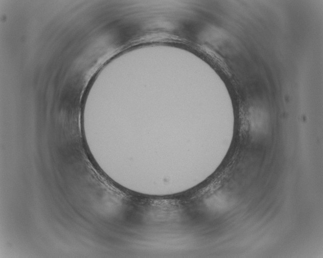 X0000076101322200610152333