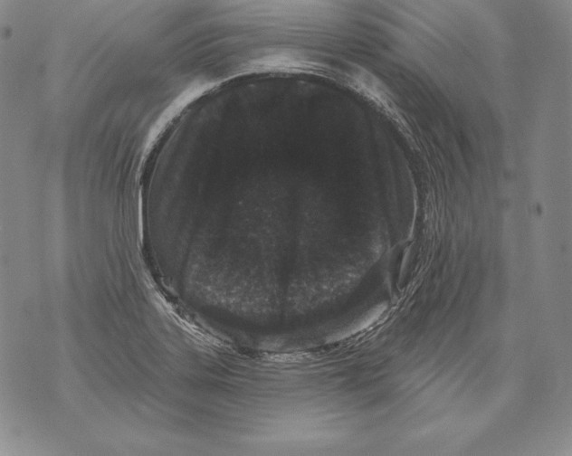 X0000076101323200610152333