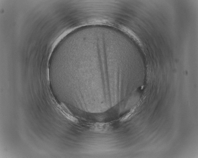 X0000076101324200610152333