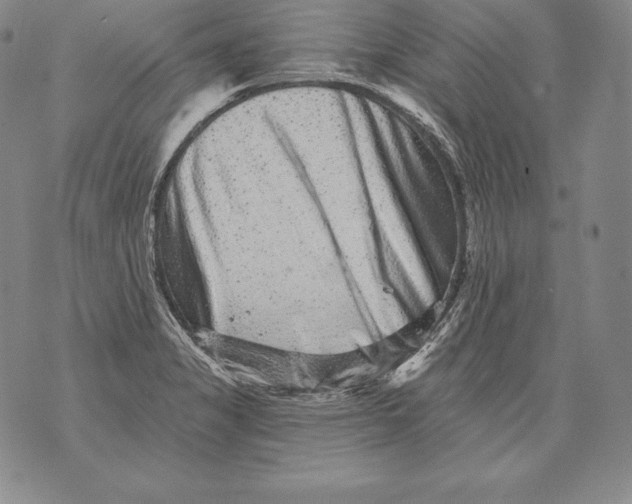 X0000076101325200610152333