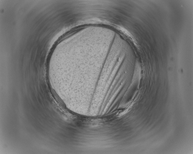 X0000076101326200610152334