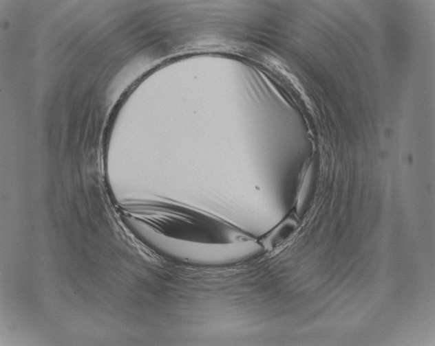 X0000076101328200610152334